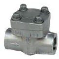 Bolted Bonnet Threaded BSPT Check Valve